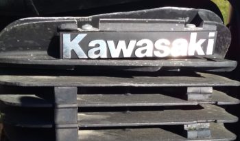 Kawasaki KDX plein