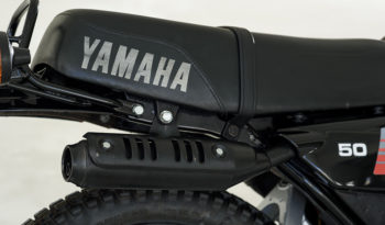 Yamaha DT plein