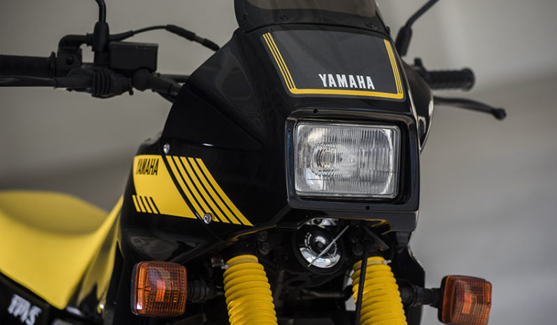 Yamaha TDR 250 plein