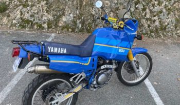 Yamaha XT 600 plein