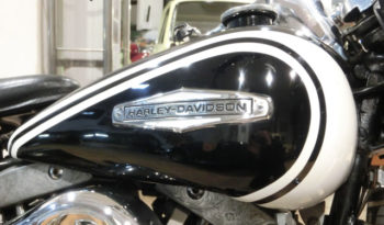 Harley-Davidson FLH Electra plein