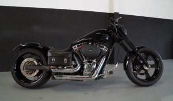 Collection Harley-Davidson *Autre Harley-Davidson Custom plein