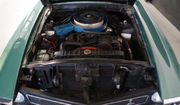 Shelby GT350 full