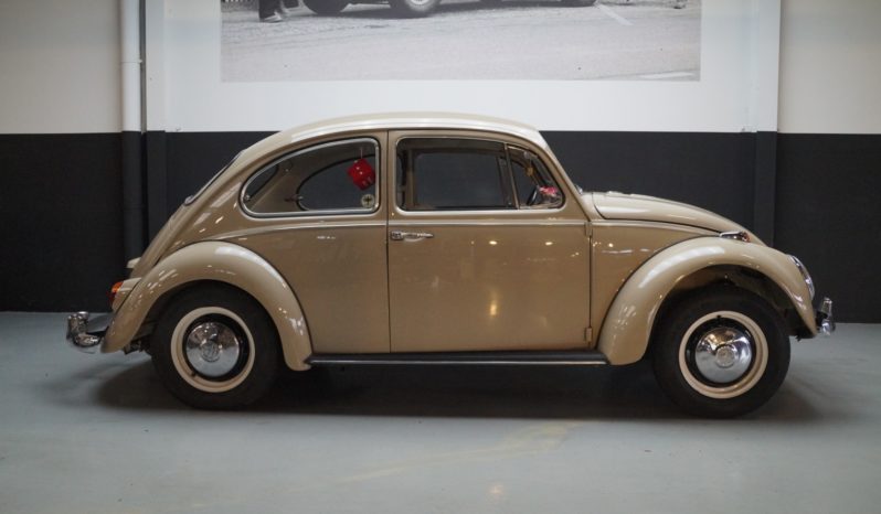 Volkswagen New Beetle full